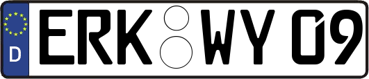 ERK-WY09