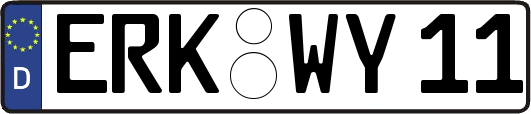 ERK-WY11
