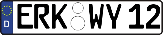 ERK-WY12