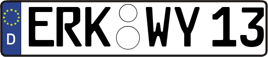 ERK-WY13