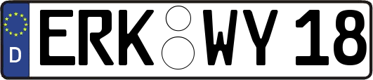 ERK-WY18