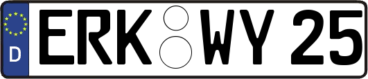 ERK-WY25