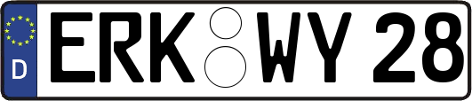 ERK-WY28