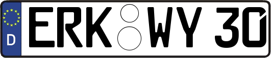 ERK-WY30