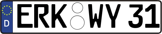 ERK-WY31