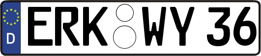 ERK-WY36
