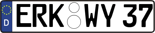 ERK-WY37