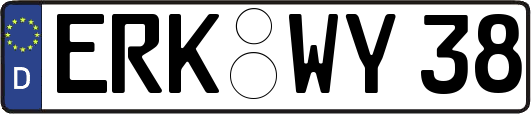 ERK-WY38