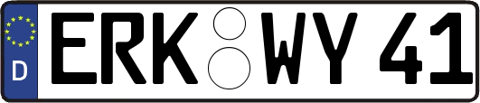 ERK-WY41