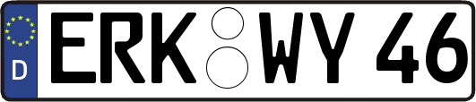 ERK-WY46