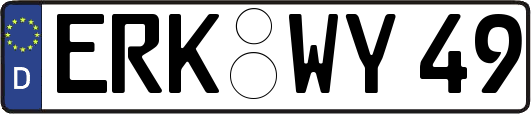 ERK-WY49