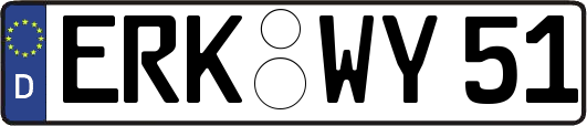 ERK-WY51