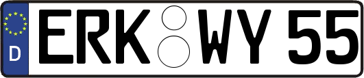 ERK-WY55