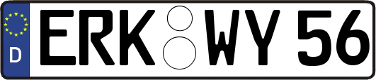 ERK-WY56