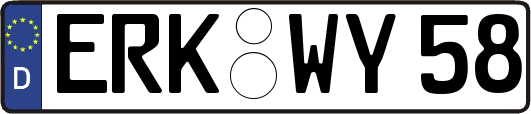 ERK-WY58