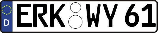 ERK-WY61