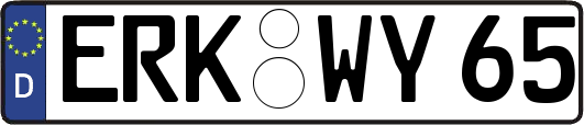 ERK-WY65