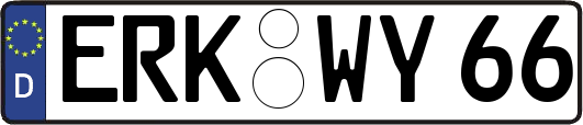 ERK-WY66