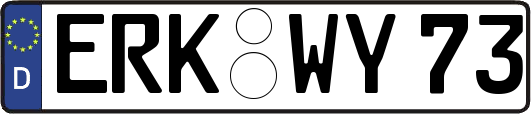 ERK-WY73