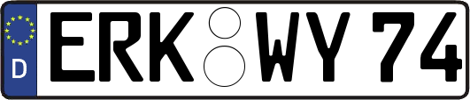 ERK-WY74