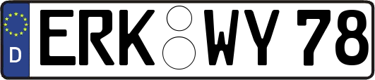 ERK-WY78