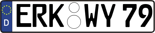 ERK-WY79