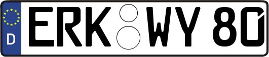 ERK-WY80