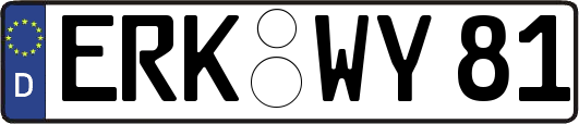 ERK-WY81