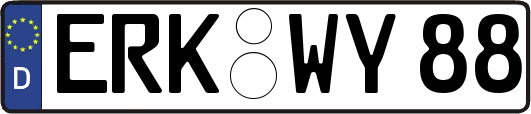 ERK-WY88