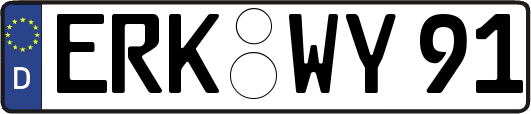 ERK-WY91