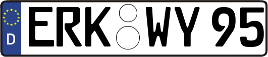 ERK-WY95