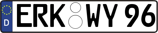 ERK-WY96