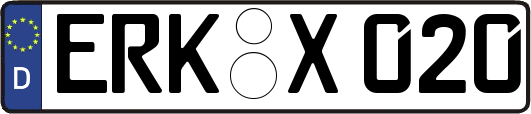 ERK-X020
