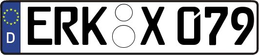 ERK-X079