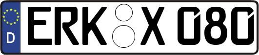 ERK-X080