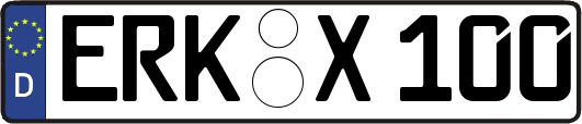 ERK-X100