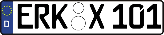 ERK-X101