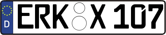 ERK-X107