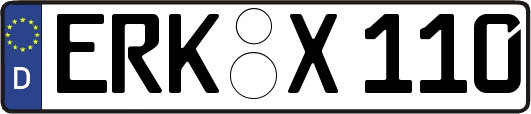 ERK-X110