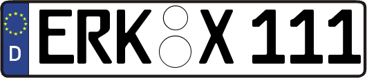 ERK-X111