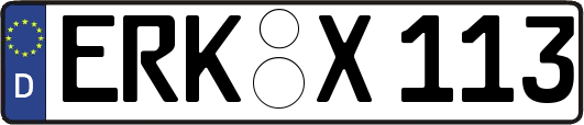 ERK-X113