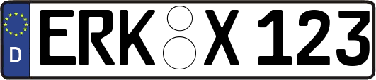 ERK-X123