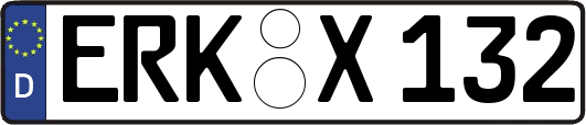 ERK-X132