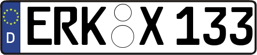 ERK-X133