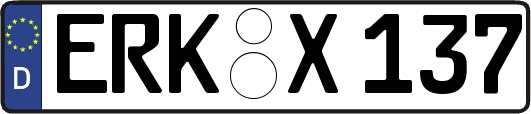 ERK-X137