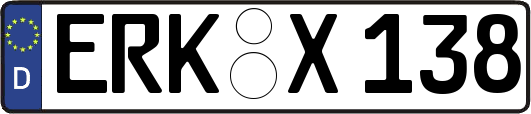 ERK-X138