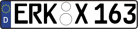 ERK-X163