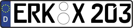 ERK-X203