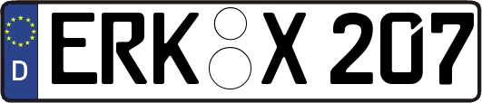 ERK-X207