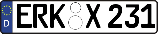 ERK-X231